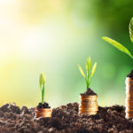 Eco-Friendly Investing: Green Stocks Leading the Way